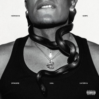 SPINGERE UNA CATERVA (Single)