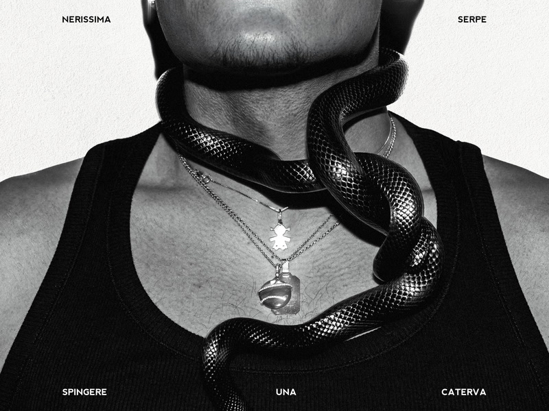 SPINGERE UNA CATERVA (Single)