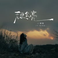 天总会亮 (DJ阿卓版) (Single)