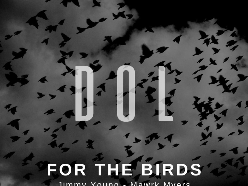 For the Birds (Single)