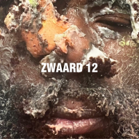 ZWAARD 12 (Single)