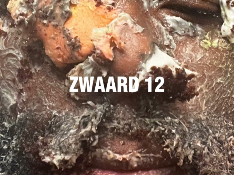ZWAARD 12 (Single)