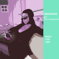 What You Like (feat. WavyTheCreator) (Single)