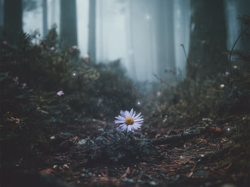 Let It Be Me (Single)