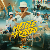 MÉTELE AL PERREO (Single)