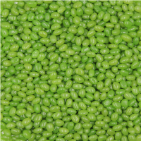 Green Bean freestyle (Single)