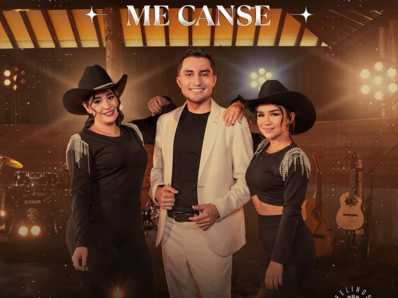 Me Cansé (Single)