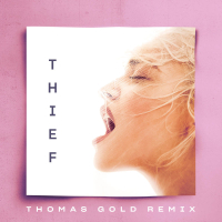 Thief (Thomas Gold Remix) (Single)