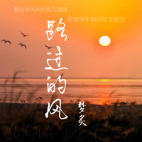 路过的风 (Single)