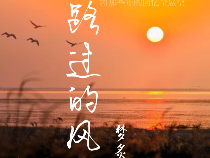 路过的风 (Single)
