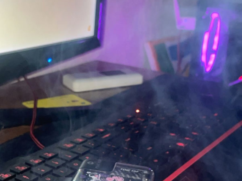 Sakura grape (Single)