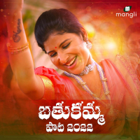 Bathukamma Song 2022 (Single)