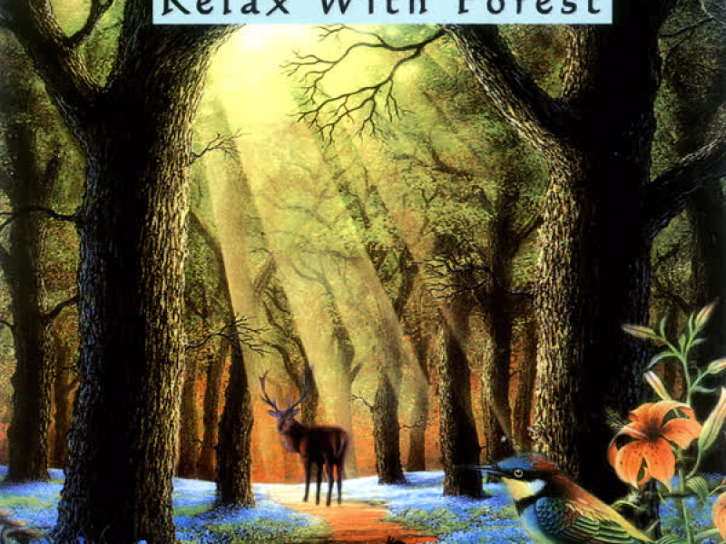 Relax With Forest