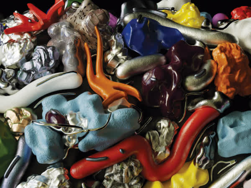 The Elephant Man's Bones