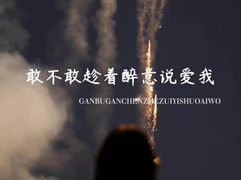 敢不敢趁着醉意说爱我 (Single)