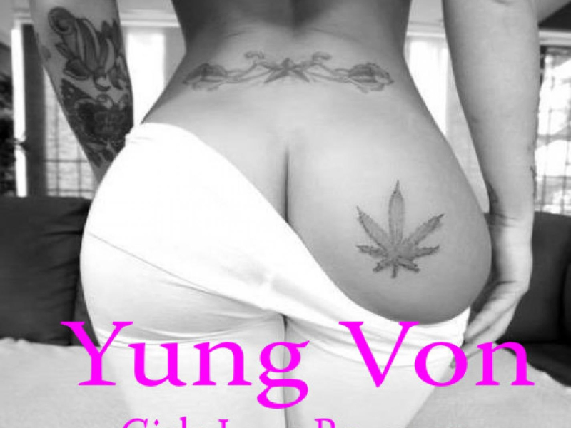 Girls Love Beyonce (Single)