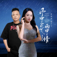 风中爱雨中情 (粤语对唱) (Single)