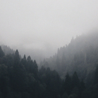 I promise I don't care at all (Single)