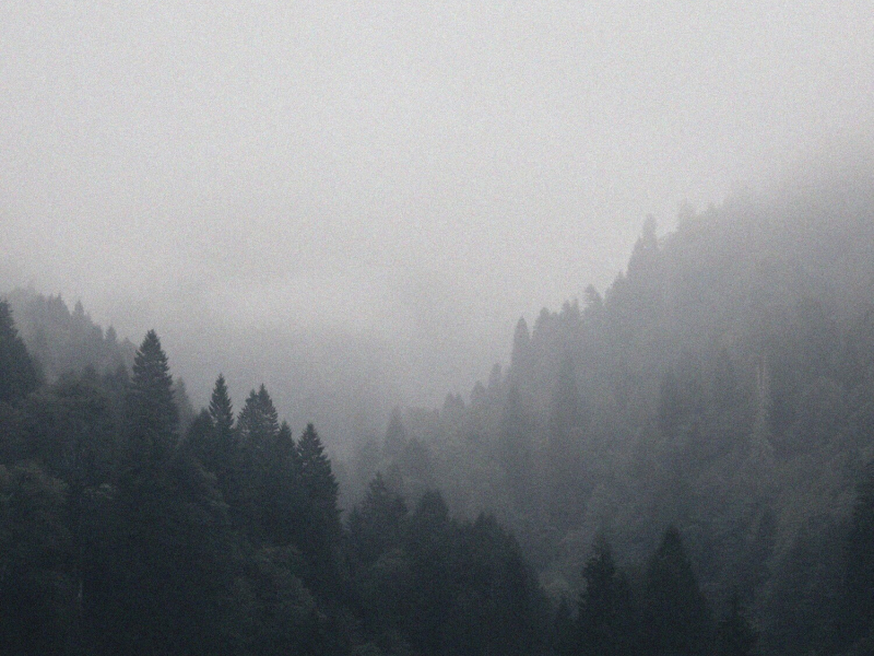 I promise I don't care at all (Single)