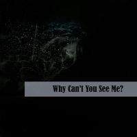 Why Can’t You See Me? (Single)
