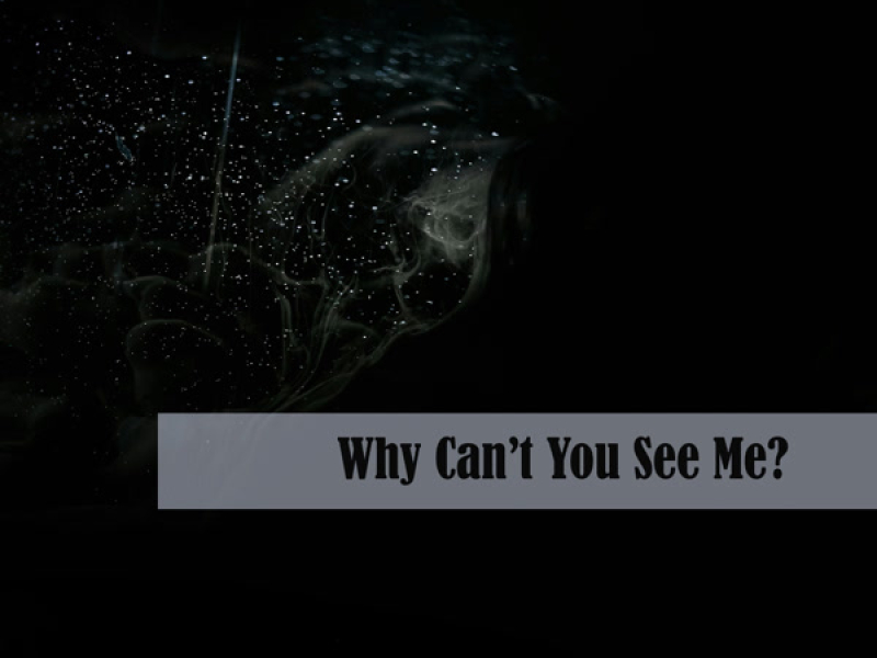 Why Can’t You See Me? (Single)