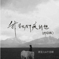 我曾经发了疯的想 (对唱版) (Single)