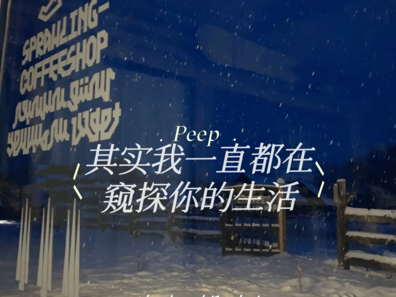 其实我一直都在窥探你的生活 (Single)