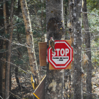 Persona non Grata (Single)