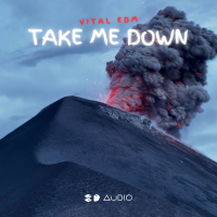 Take Me Down (Single)