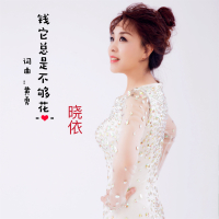 钱它总是不够花 (Single)