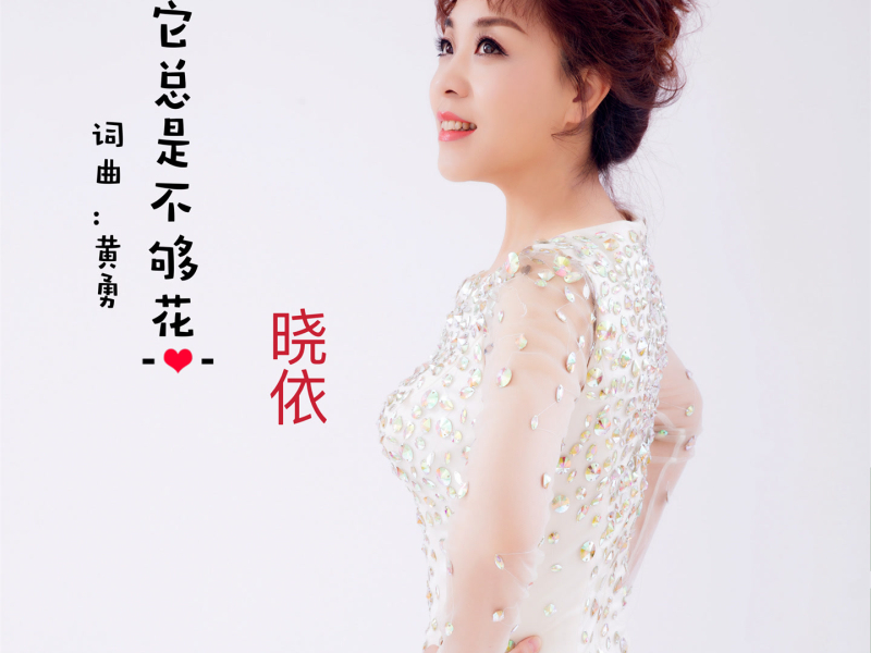 钱它总是不够花 (Single)