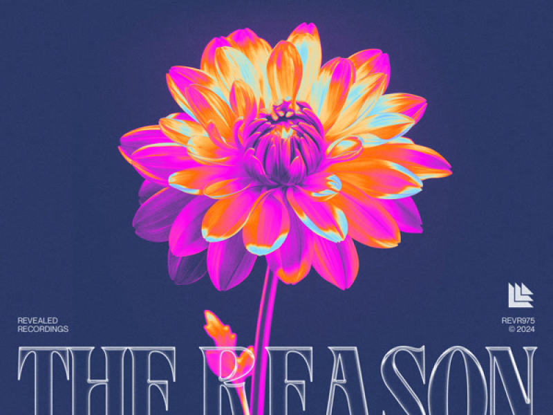 The Reason (Single)