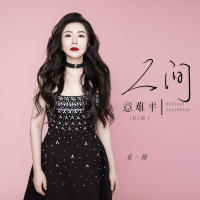 人间意难平（DJ版） (Single)
