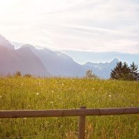 Peaceful Ambient Soundscape With Gentle Melodies For Meditation And Restful Sleep (Single)