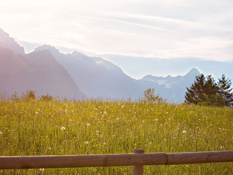 Peaceful Ambient Soundscape With Gentle Melodies For Meditation And Restful Sleep (Single)