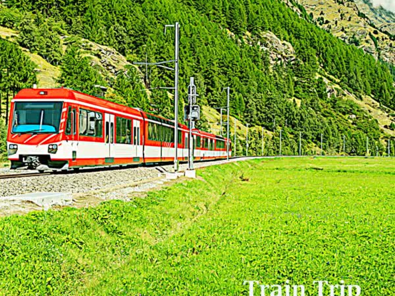 Train travel (Single)