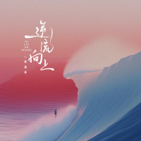 逆流向上 (DJ Eva版) (Single)