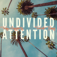Undivided Attention (Single)