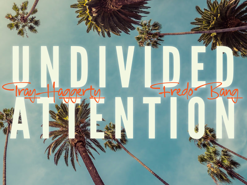 Undivided Attention (Single)