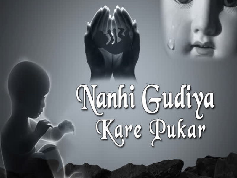 Nanhi Gudiya Kare Pukar (Single)
