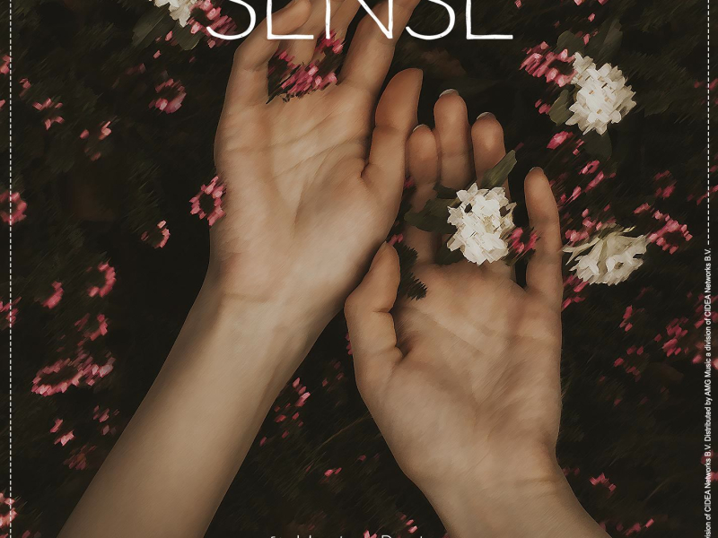 Sense (Single)