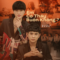 Em Có Thấy Buồn Không? (Beat) (Single)