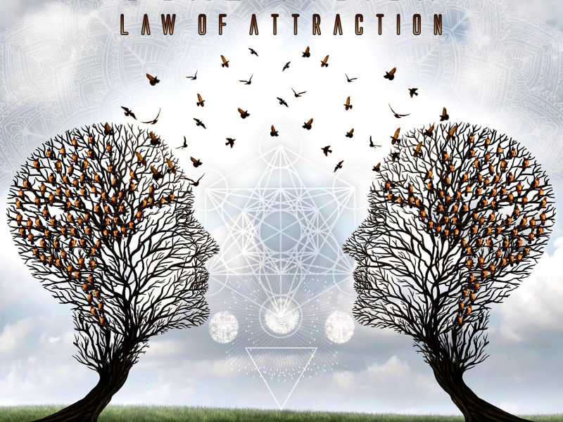 Law of Attraction (Single)