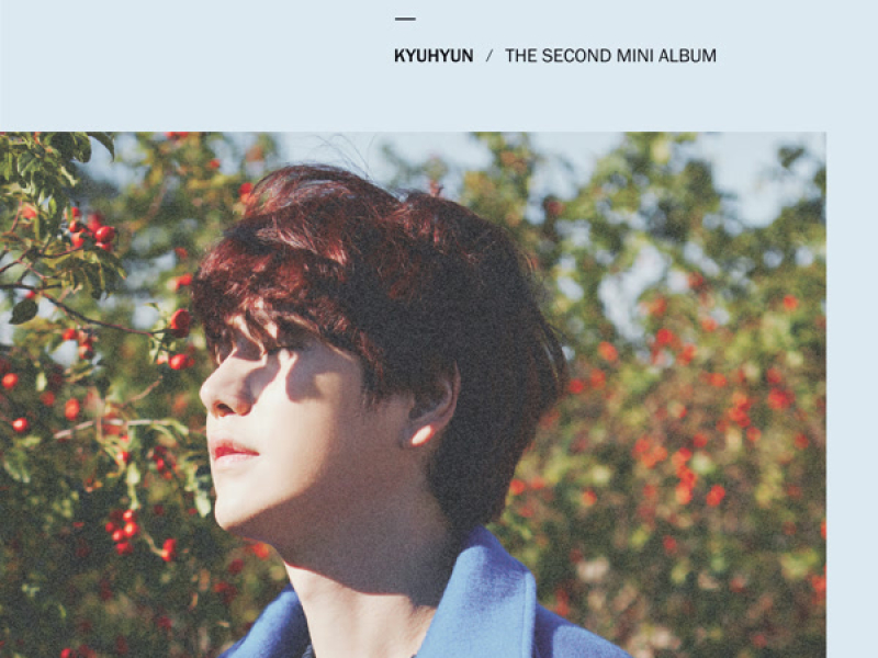 Fall, Once again - The 2nd Mini Album