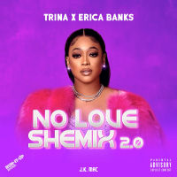 No Love Shemix 2.0 (Single)