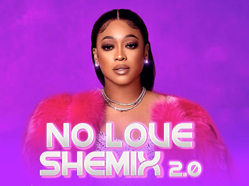 No Love Shemix 2.0 (Single)