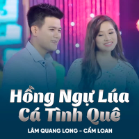 Hồng Ngự Lúa Cá Tình Quê (Single)