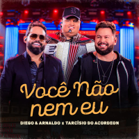 Você Não Nem Eu (Ao Vivo) (Single)