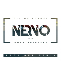 Did We Forget (Lady Bee Remix) (Single)