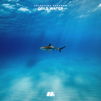 Cold Water (Single)